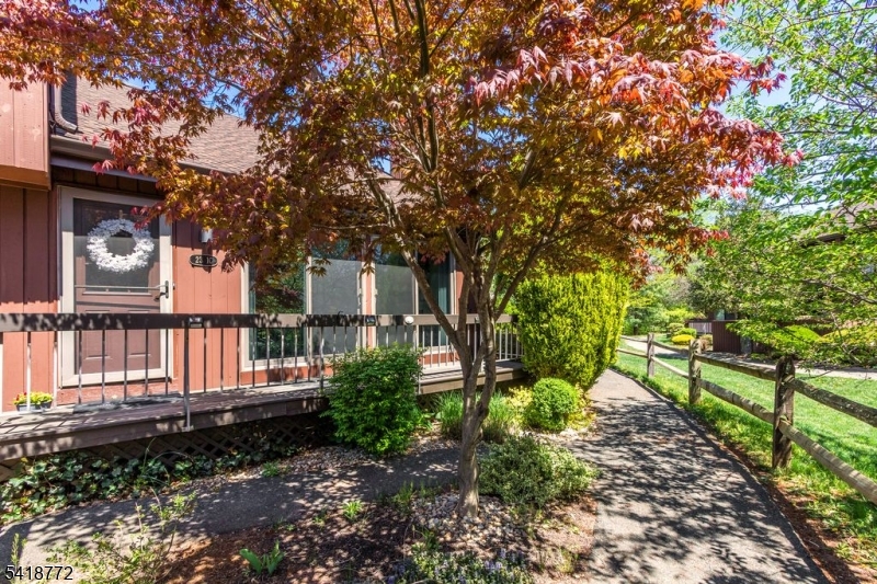 Mature trees, shrubery and grass surround the home's entrance