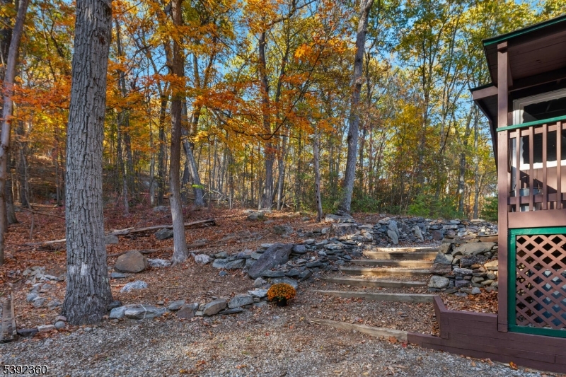Stairway To The Rear Yard