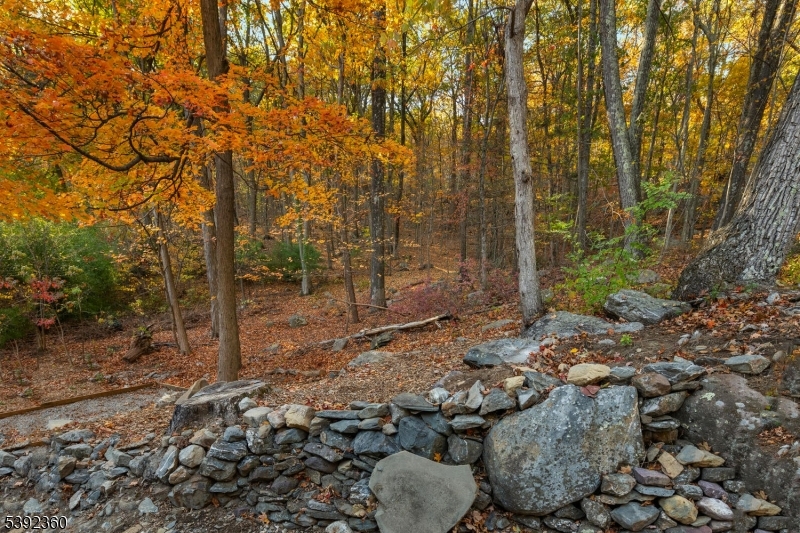 The State Forest & Trails