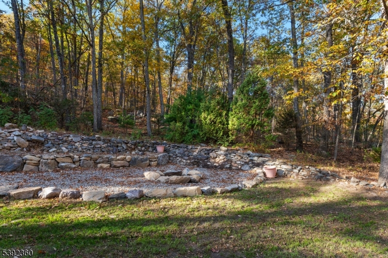 Woods Surrounding Firepit Area