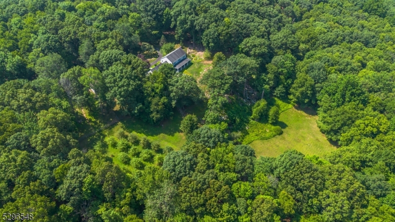 Aerial showing orchard and pasture area