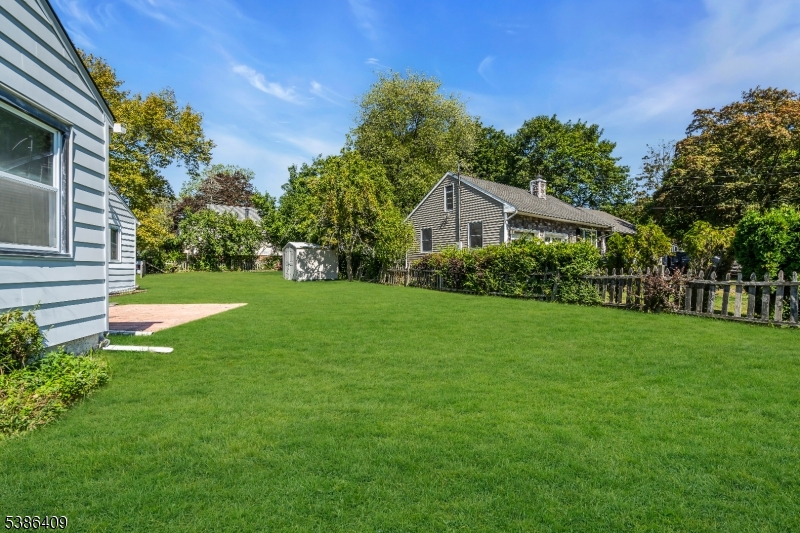 backyard from living room exit