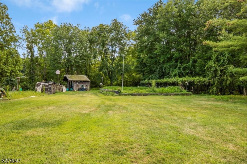 Flat Backyard