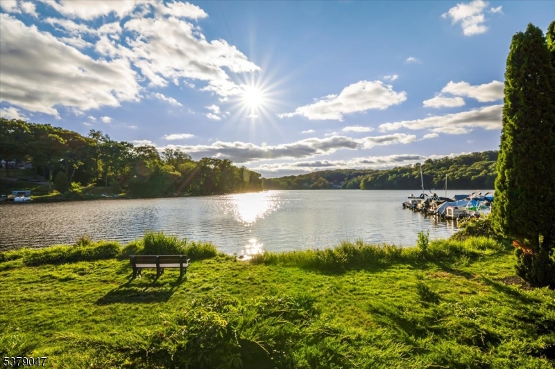 Serene White Meadow Lake