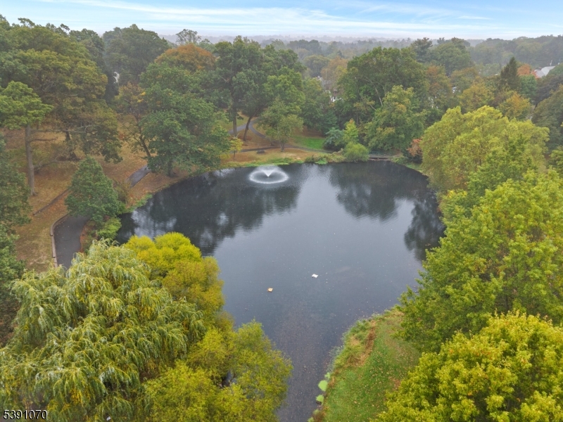 Yantacaw Brook Park Just one house away!