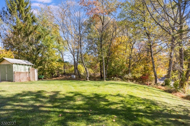 Side View of the Yard