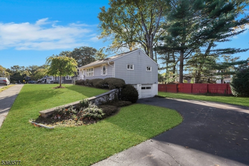 Great Lot