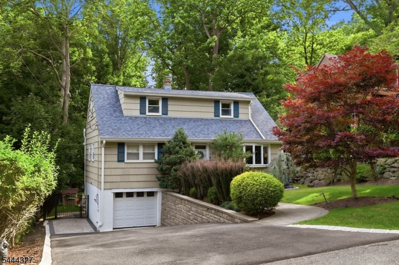 Expansive Driveway