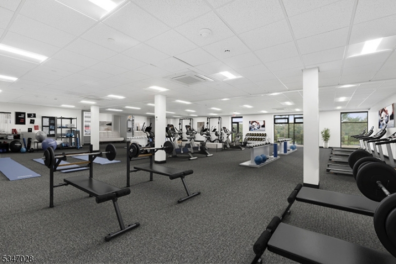 gym
