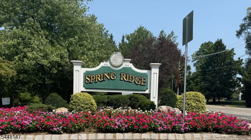 Beautiful Spring Ridge