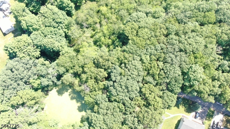 Pond Is part of the property