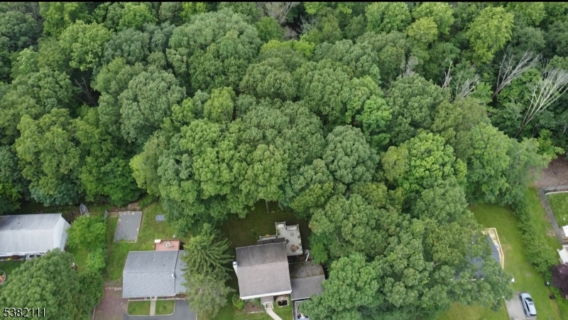 3 additional lots of land provide plenty of privacy