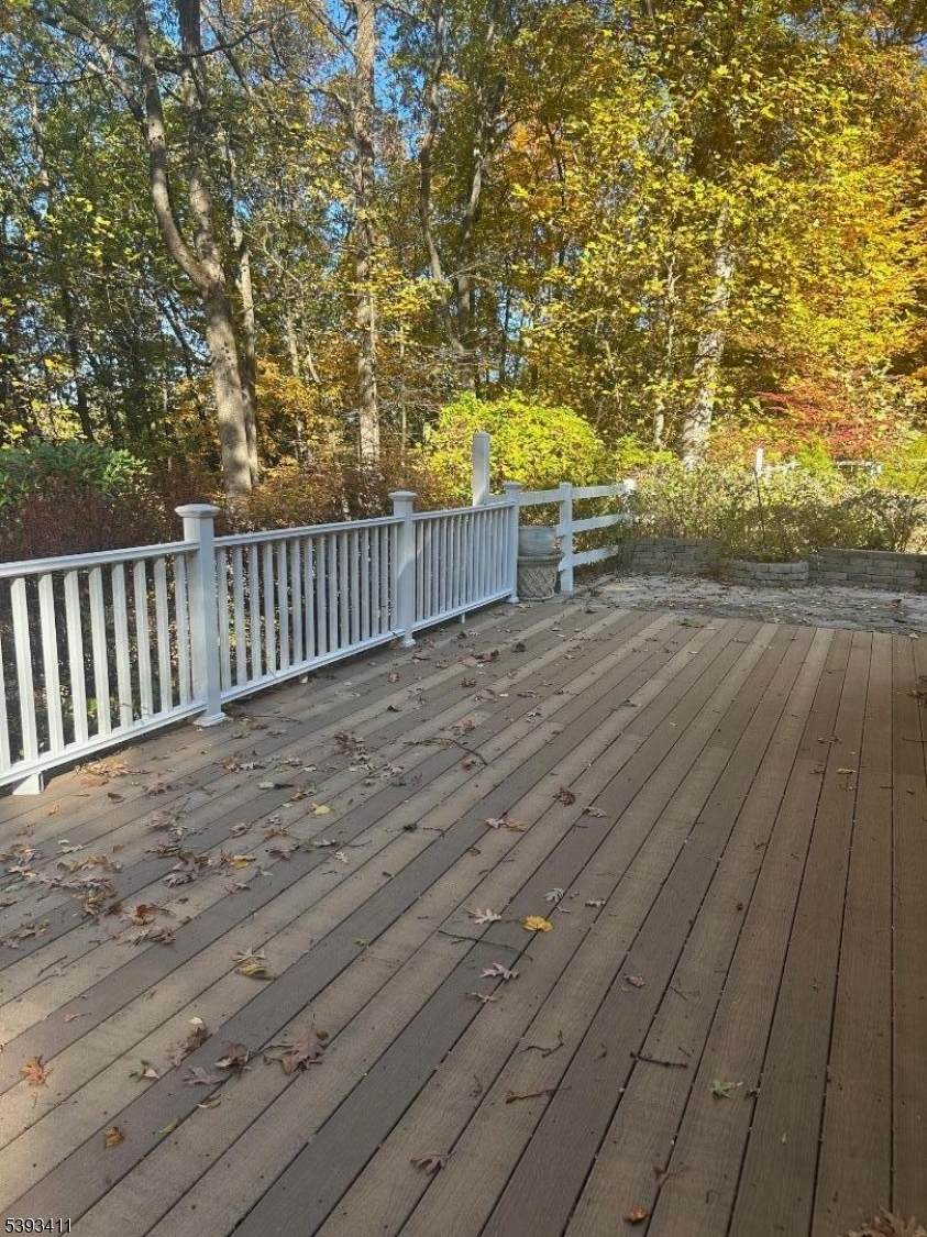 Large Deck