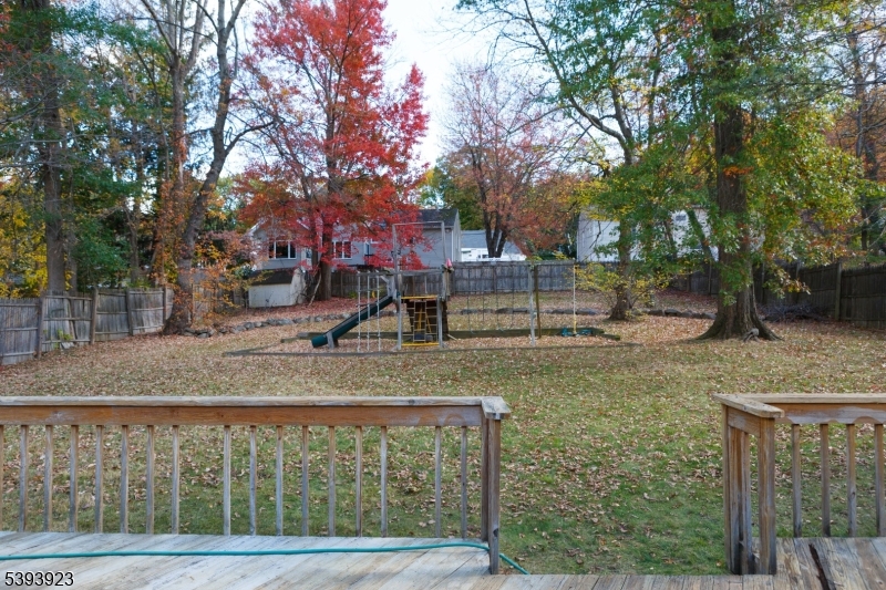 Backyard View from The Deck
