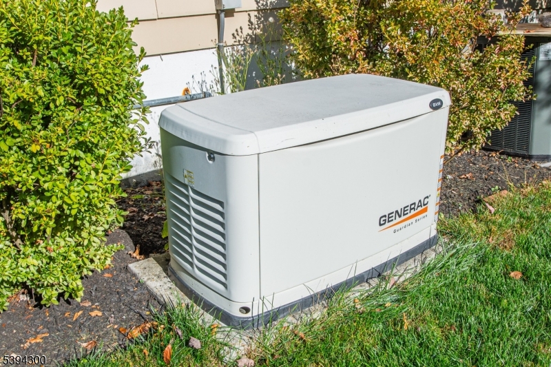 Natural Gas Generator