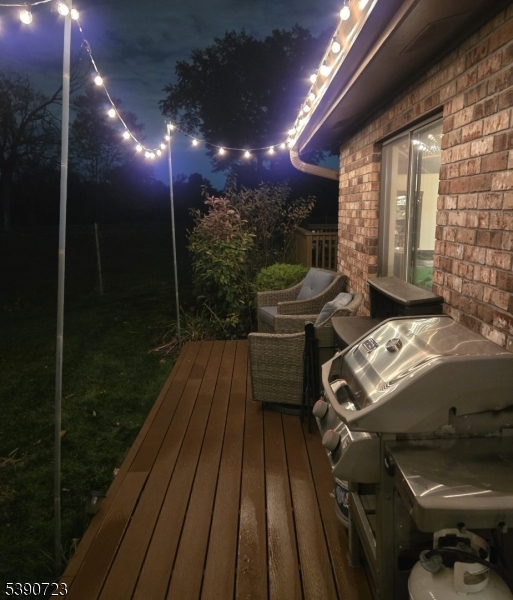 Night Shot