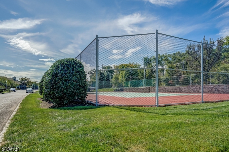 Tennis & Pickle ball