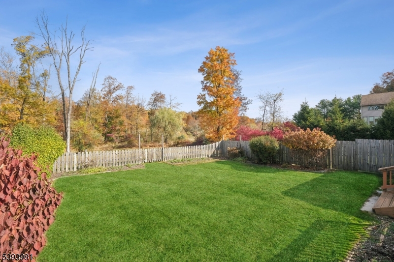 Beautiful Level Backyard