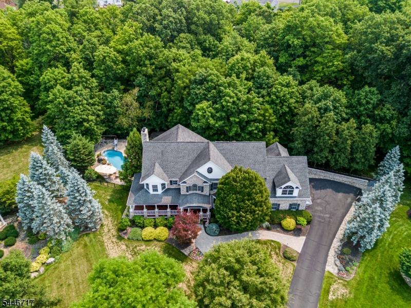 Aerial of 11 Monica Ct