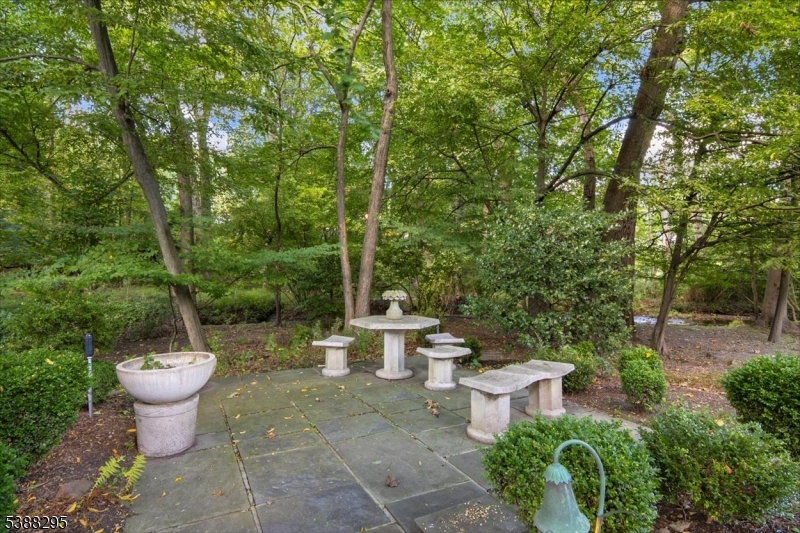 Backyard private backyard oasis preserve like greenery
