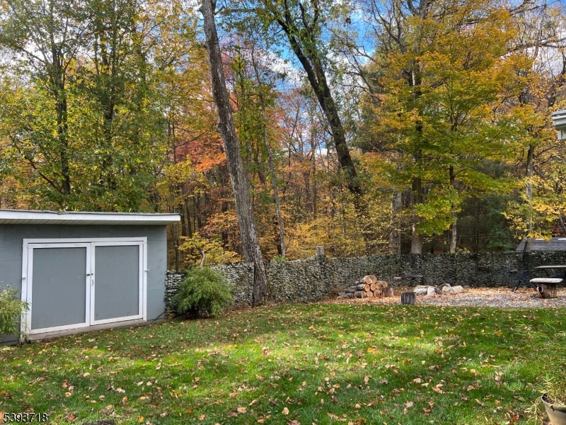 Yard with shed