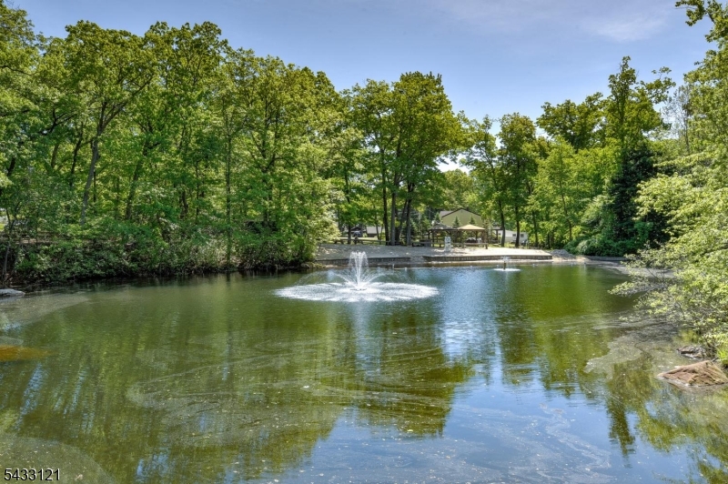 Lake Edenwall