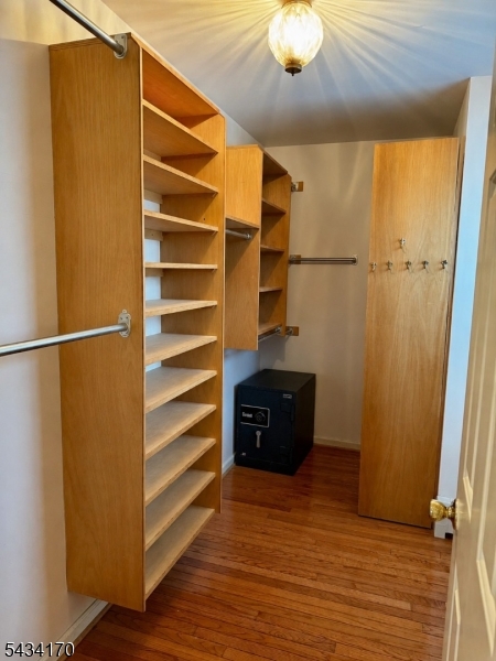 Primary Walk-in Closet