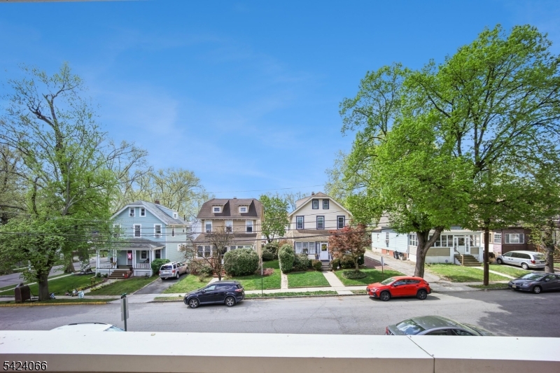View of tree lined street