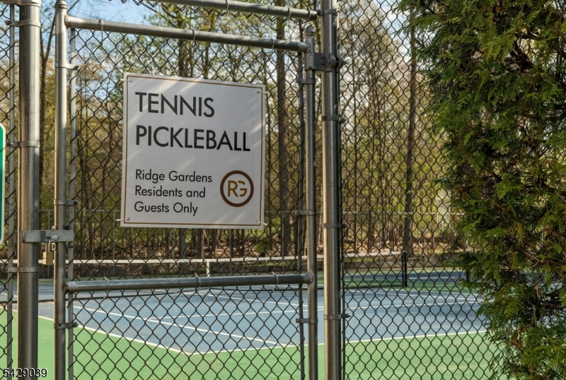 Courts