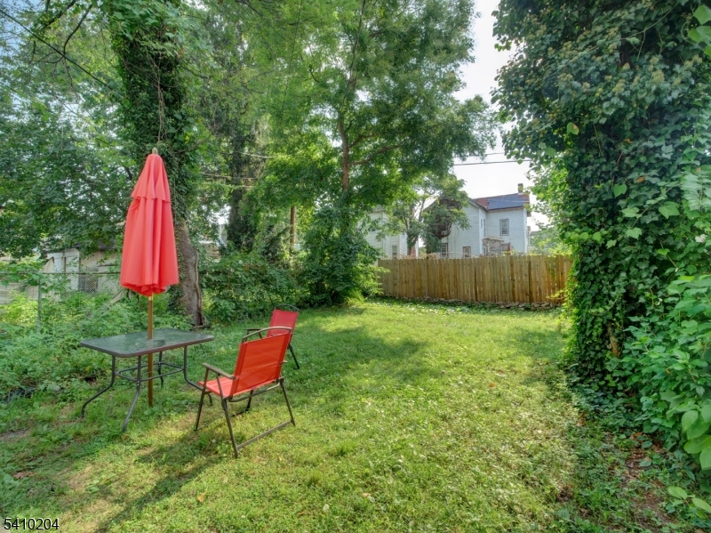 Back yard