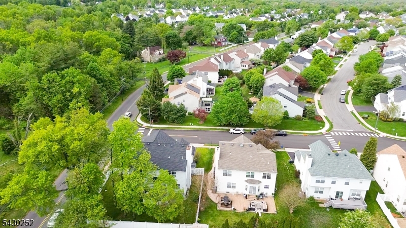 Drone View