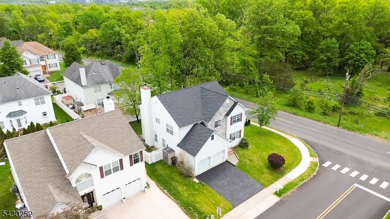 Drone View