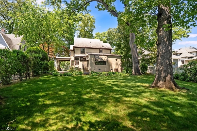 Deep Back Yard