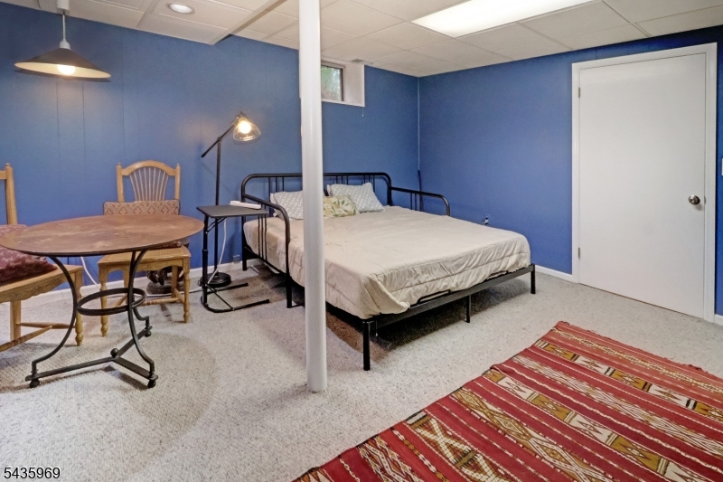 Rec room in basement