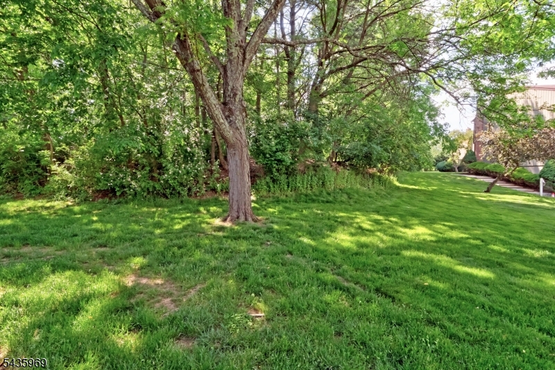 View outside deck
