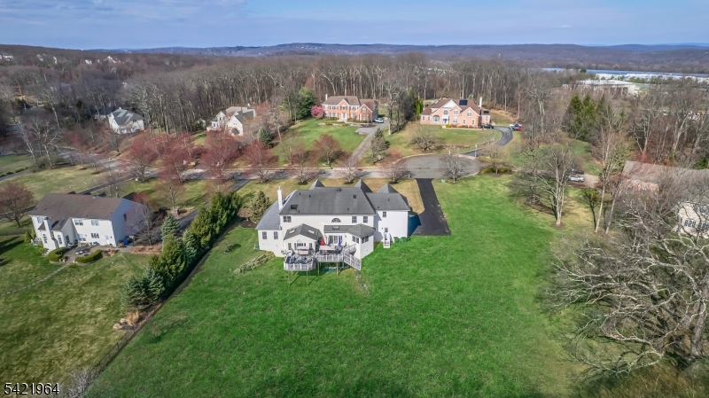 Arial view - backyard