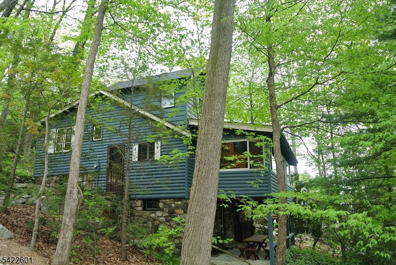 back view