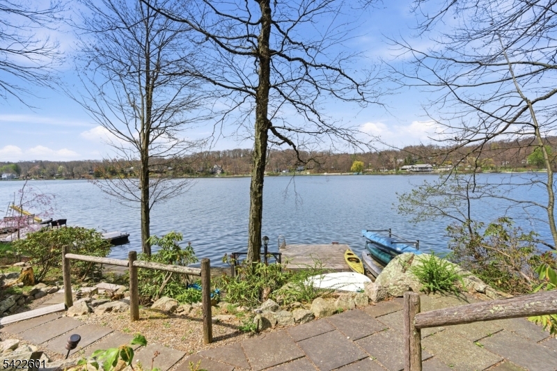backyard view