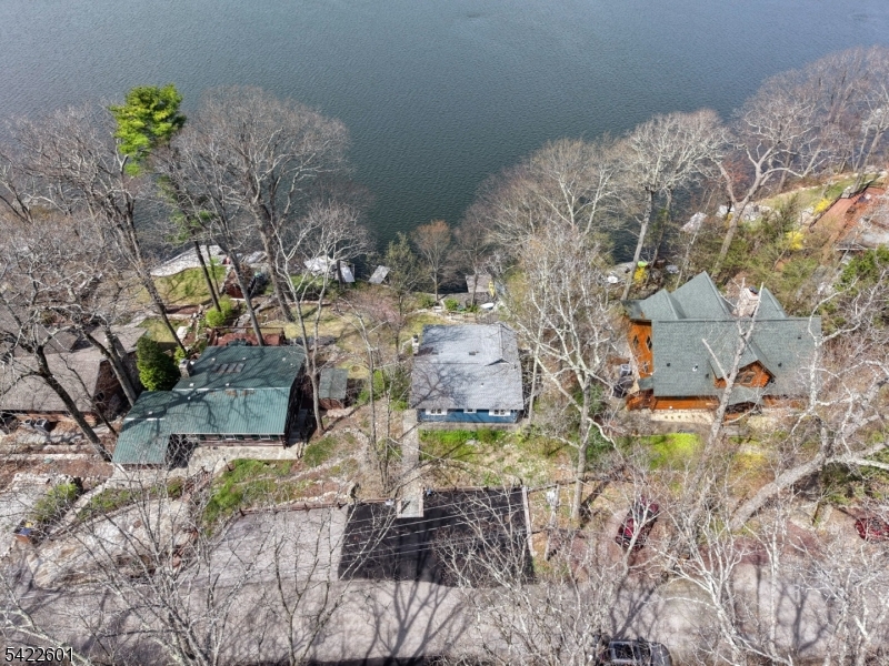 drone aerial