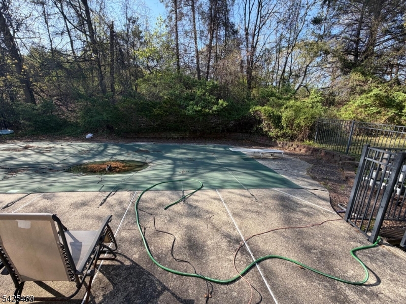Backyard Backyard