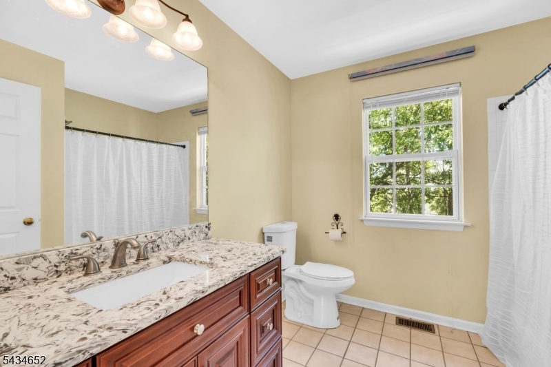 Main Bathroom w/Updated Vanity