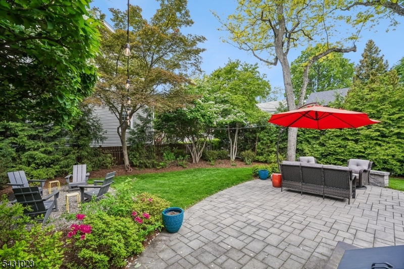 Mature Landscaping