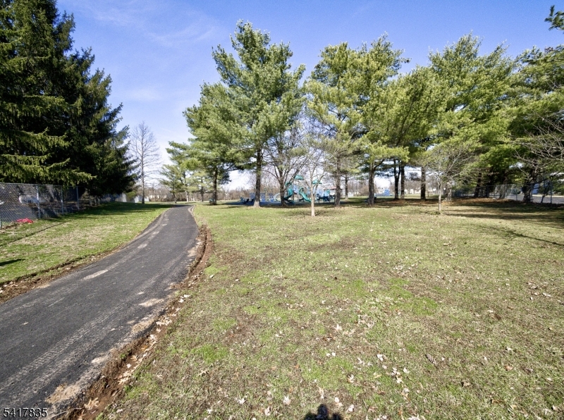 Jogging Path