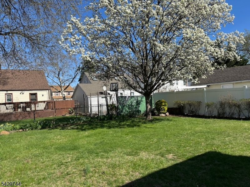 Rear yard