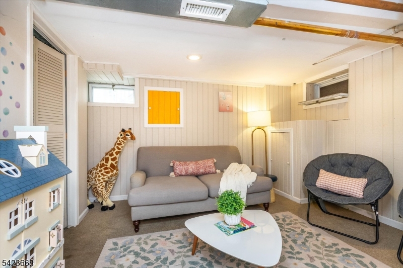 Rec Room / Basement