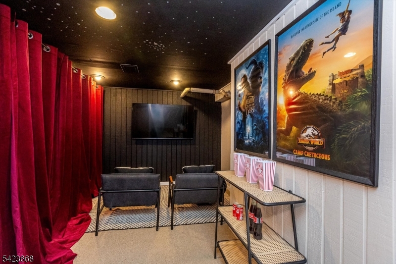 Rec Room / Basement