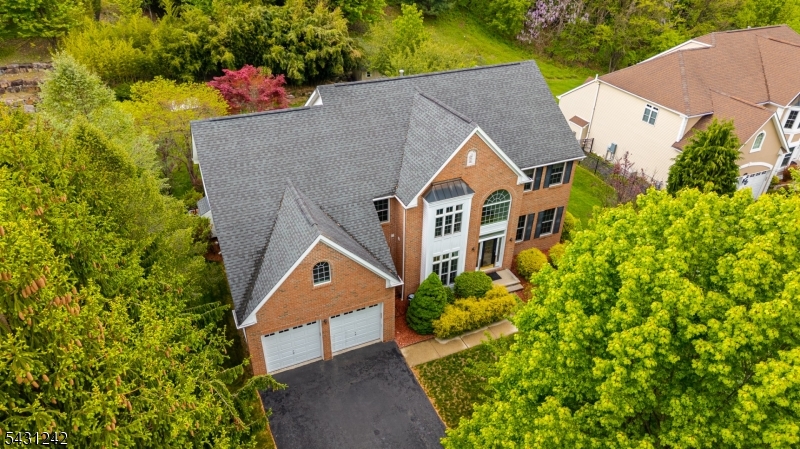 house drone view front