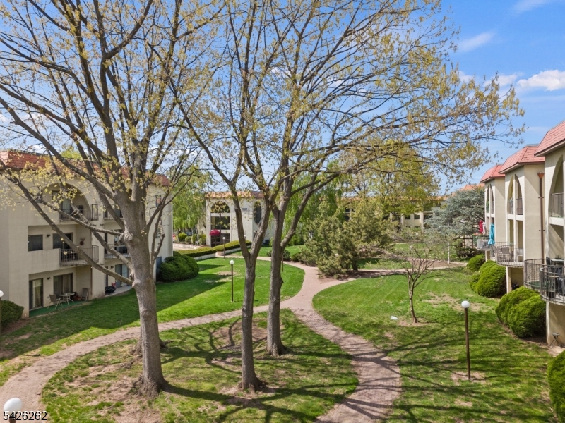 2 Ann St, #203, Clifton City, NJ 07013 Listing Photo  16