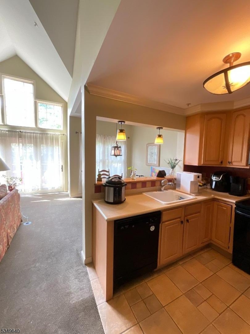 Kitchen open to DR