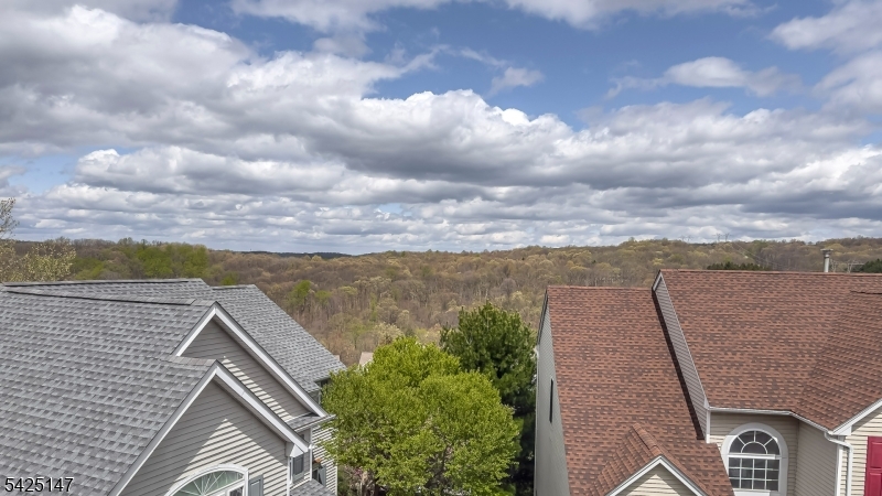 View from Primary